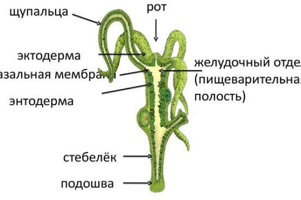 Kraken адрес onion