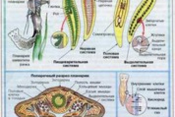 Пользователь не найден при входе на кракен