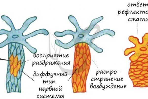 Ссылки на кракен at