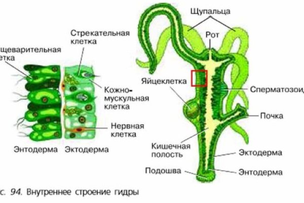 Кракен ссылка на сайт тор